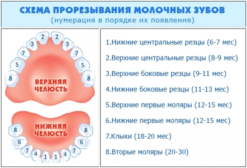 Основные симптомы прорезывания зубов
